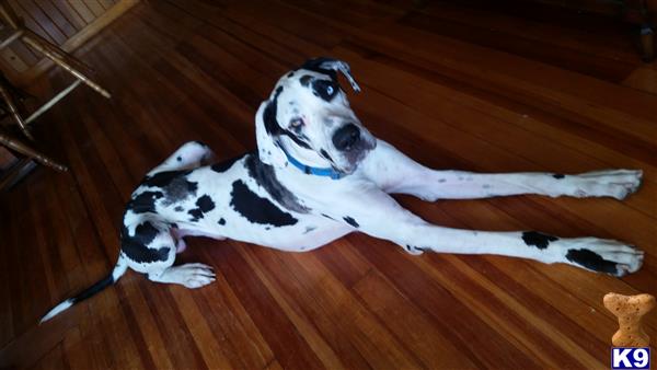 Rupertwayne75 Picture 1